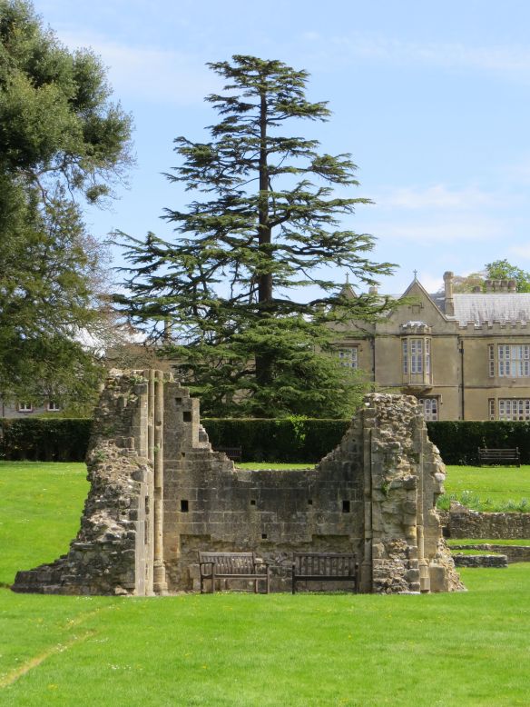 glastonbury_abbey8