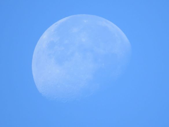 daytime_moon2
