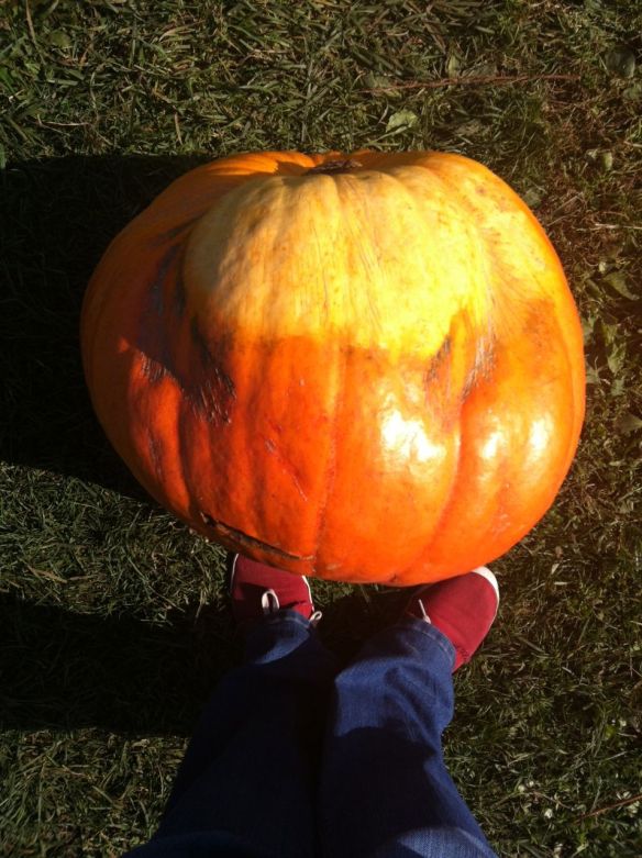 Pumpkin_feet