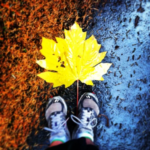 running_leaf