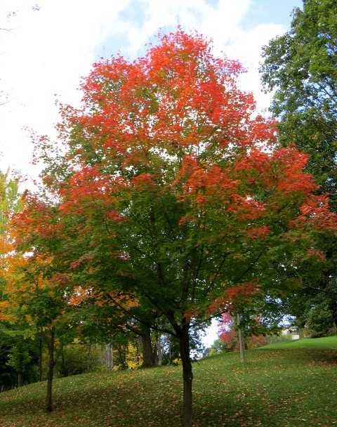 ???????????????????????????????