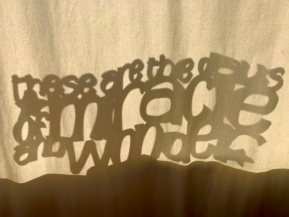 FB9A33DE-DE13-42F9-95BE-C1F3BF5EA887_1_201_a